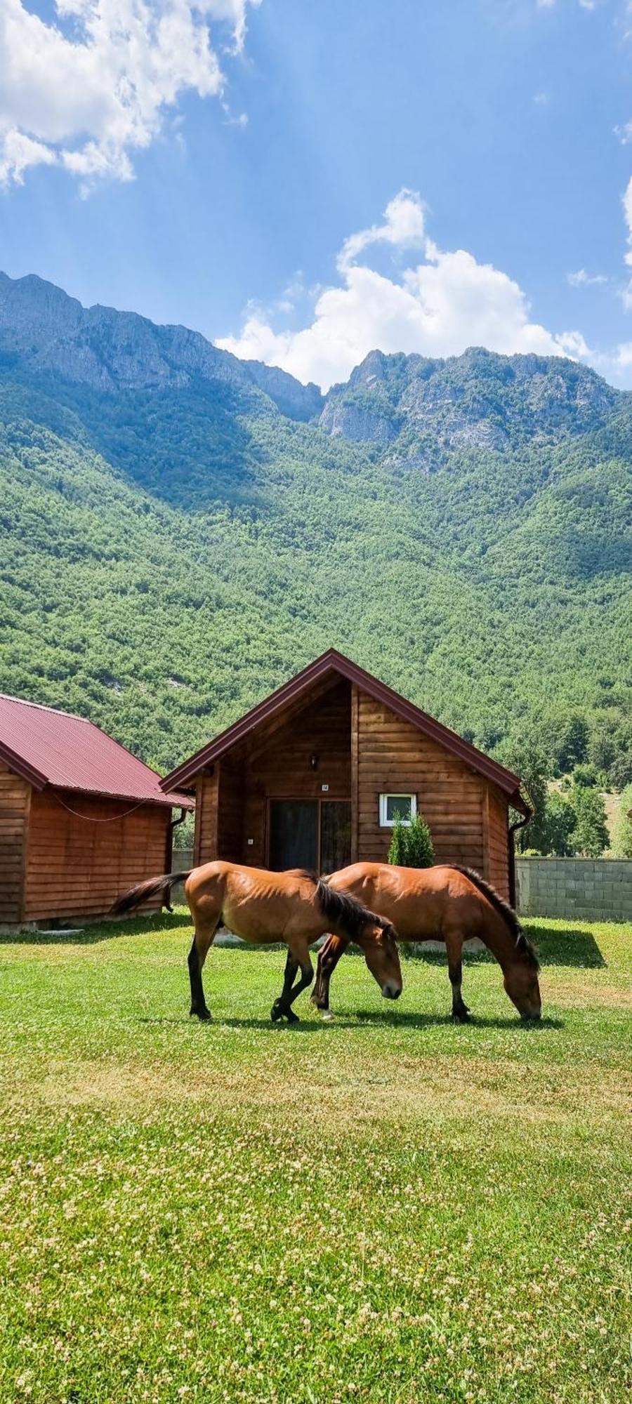 Hotel Ethno Katun Rosi Agrotourism Gusinje Exteriér fotografie