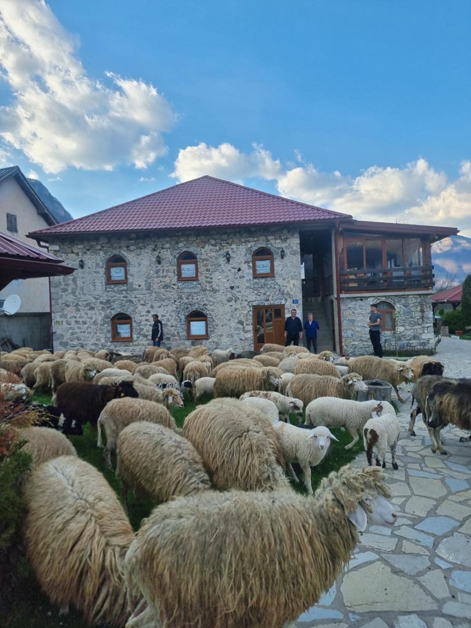 Hotel Ethno Katun Rosi Agrotourism Gusinje Exteriér fotografie