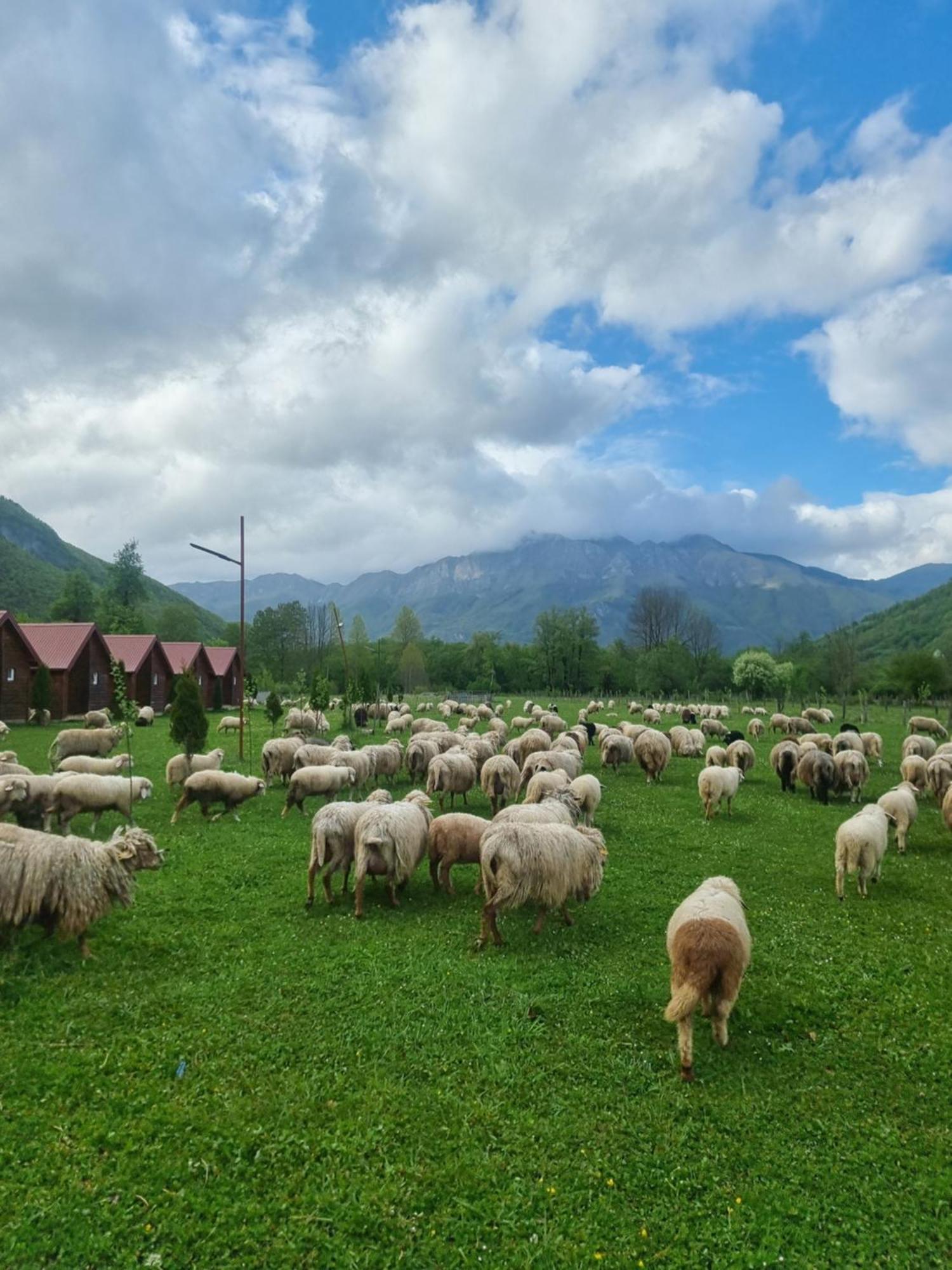 Hotel Ethno Katun Rosi Agrotourism Gusinje Exteriér fotografie